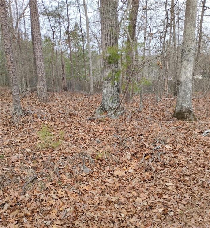 0 Willie West Road Canton, GA 30114 - Photo 4 of 4 a view of a dry yard with trees