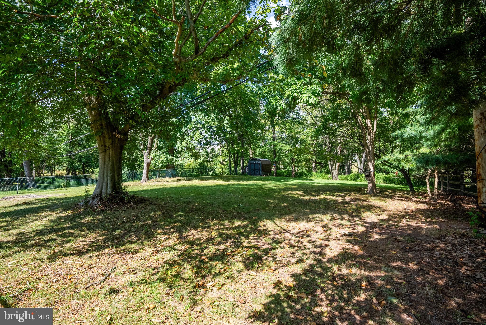 391 Rittenhouse Boulevard Eagleville, PA 19403 - Photo 33 of 43 a view of a tree in a yard