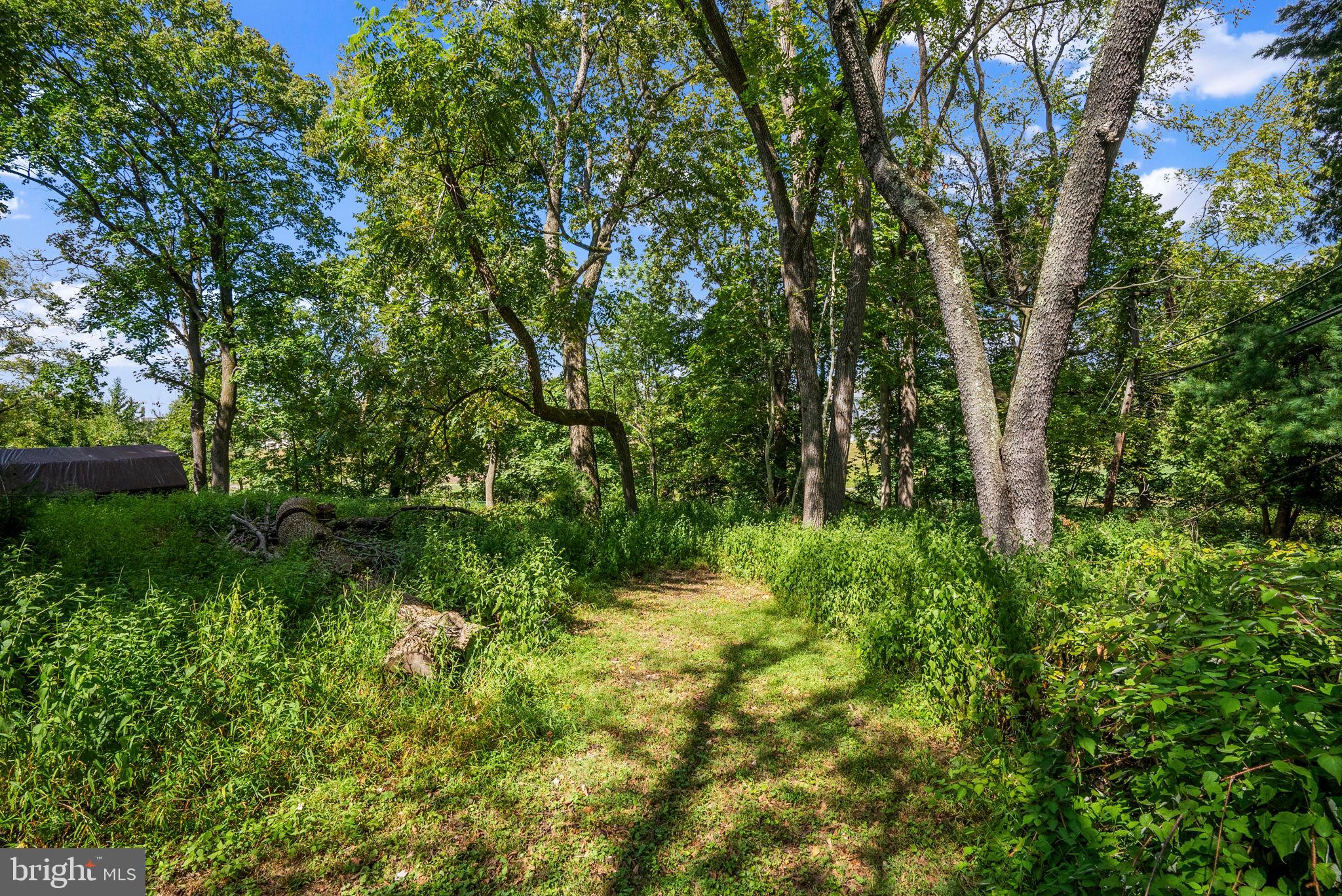 391 Rittenhouse Boulevard Eagleville, PA 19403 - Photo 35 of 43 a backyard of a house with lots of green space