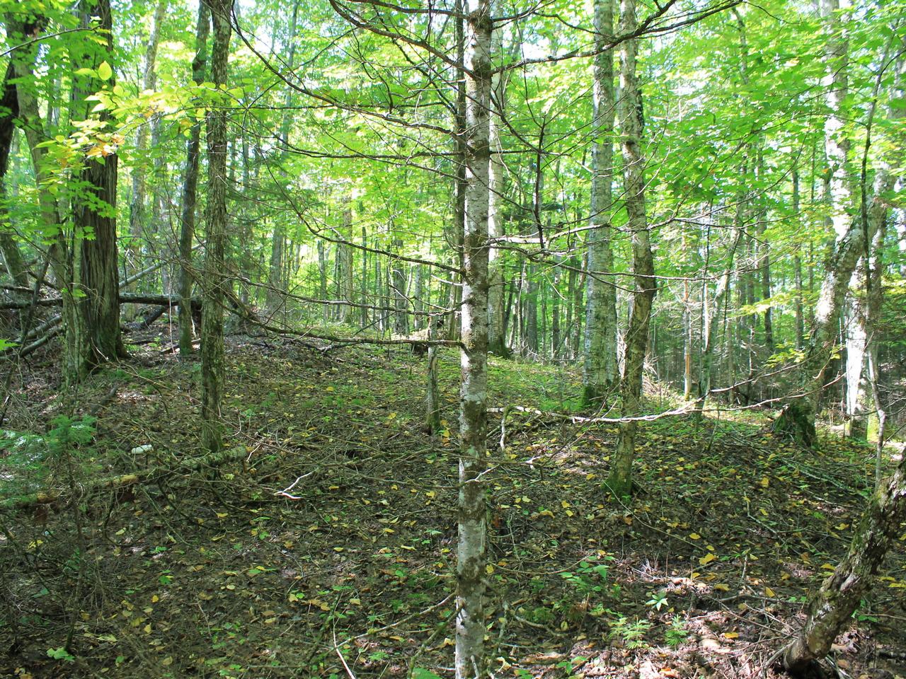 7421 Tall Timbers Road Presque Isle, WI 54557 - Photo 23 of 35 Gallery Image 23