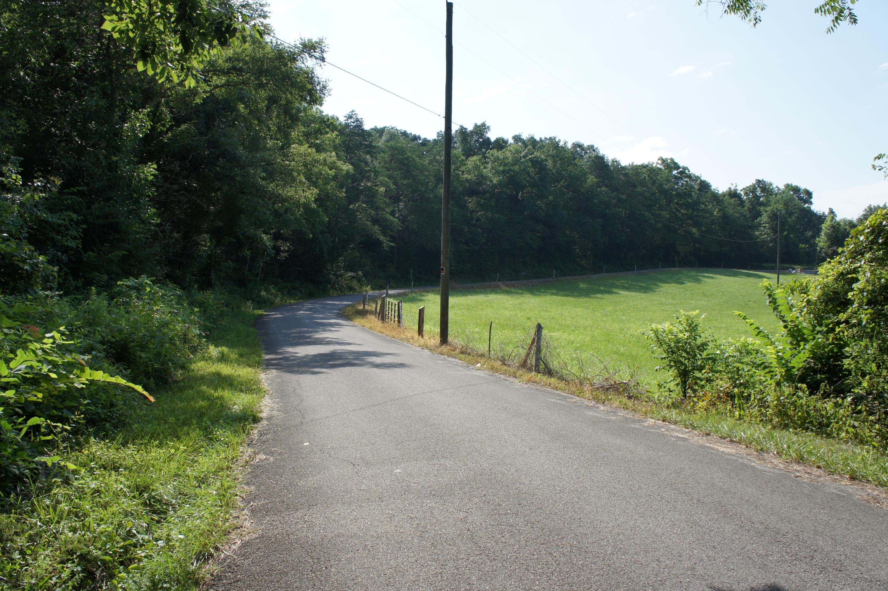832 Shaddon Road Tellico Plains, TN 37385 - Photo 35 of 36 DSC00373