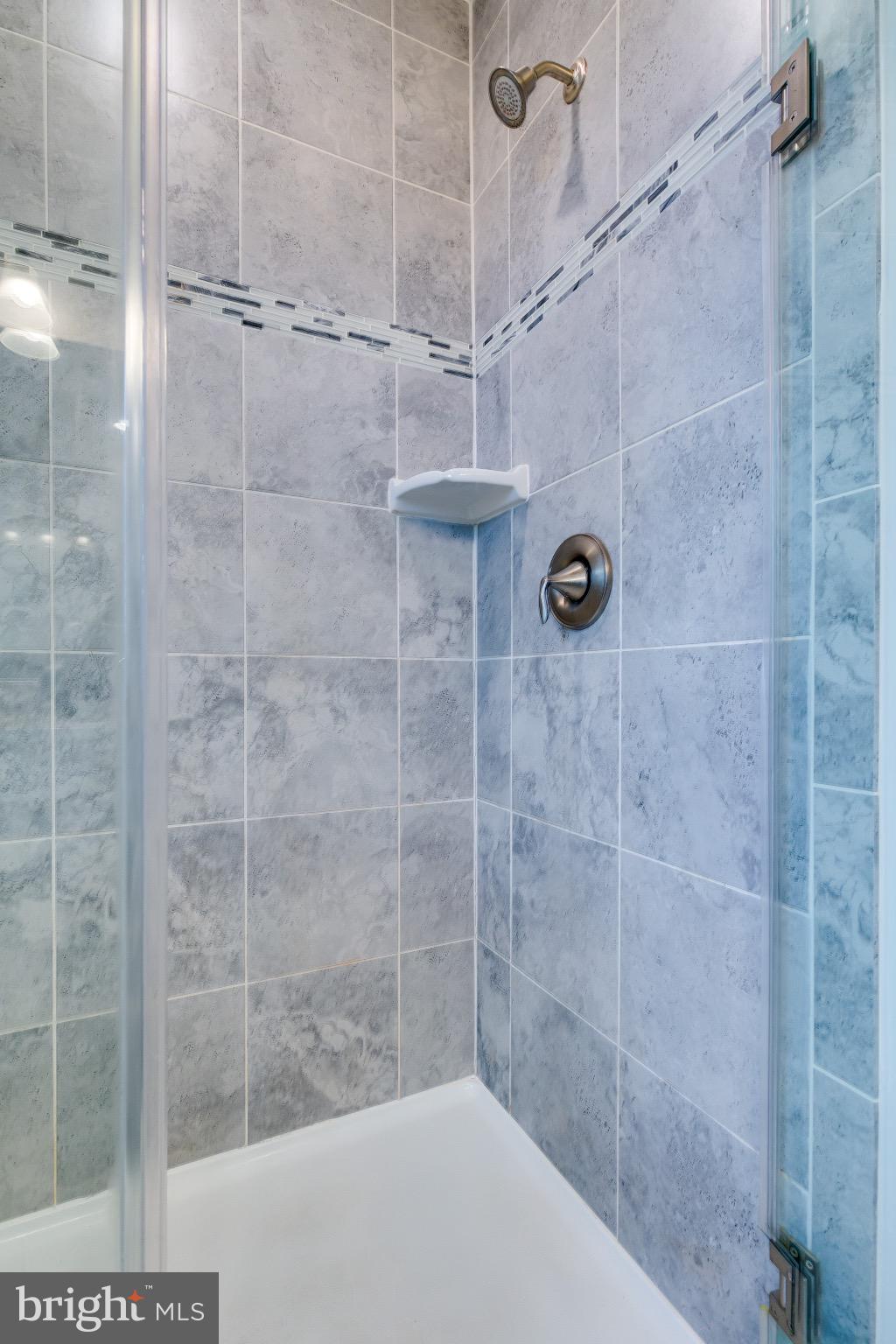 20687 Heron Landing Drive Sterling, VA 20166 - Photo 30 of 39 Sleek modern shower with elegant tile design.