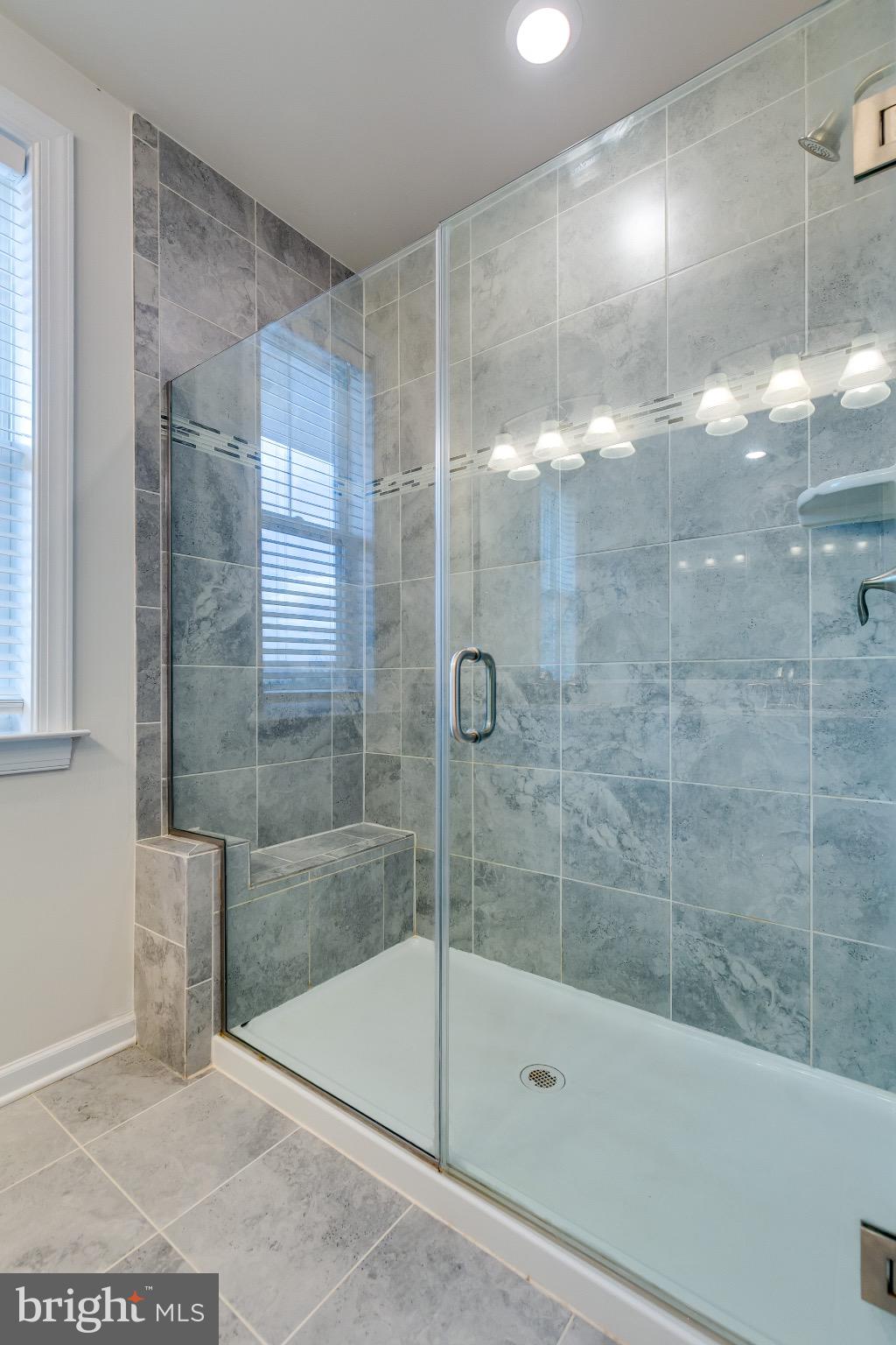 20687 Heron Landing Drive Sterling, VA 20166 - Photo 31 of 39 Sleek glass shower in modern bathroom design.