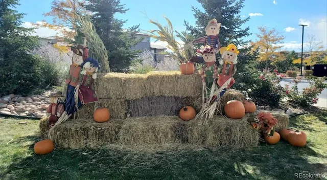 $715,000 | 14027 Touchstone Street, Parker, CO 80134