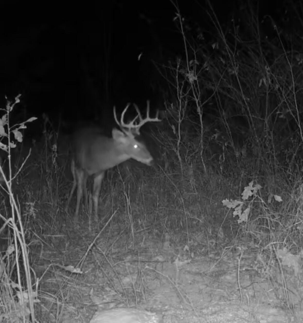 820 Wild Dog Trail Road McKee, KY 40447 - Photo 36 of 37 IMG_3034
