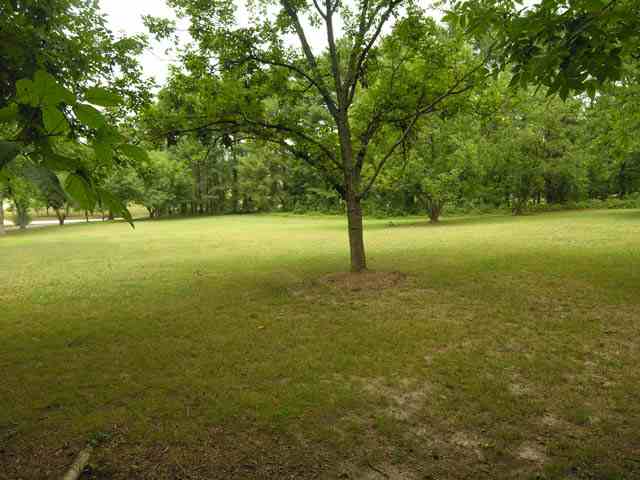 67 Parkins Lake Road Greenville, SC 29607 - Photo 10 of 11 Gallery Image 10