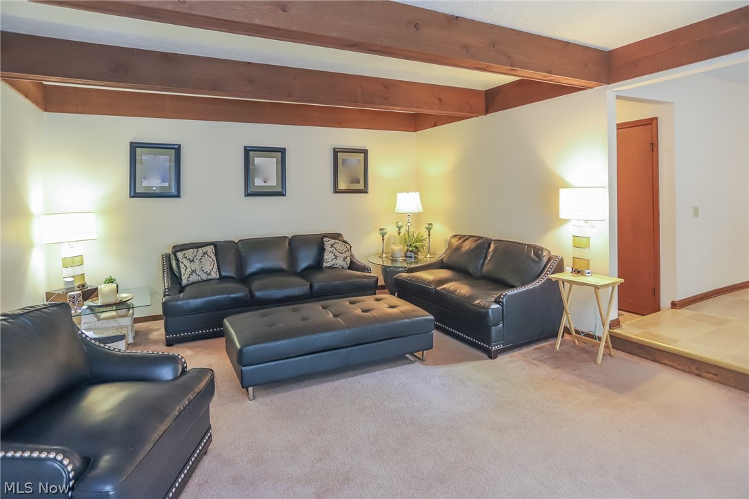 13760 Milo Road Cleveland, OH 44125 - Photo 16 of 33