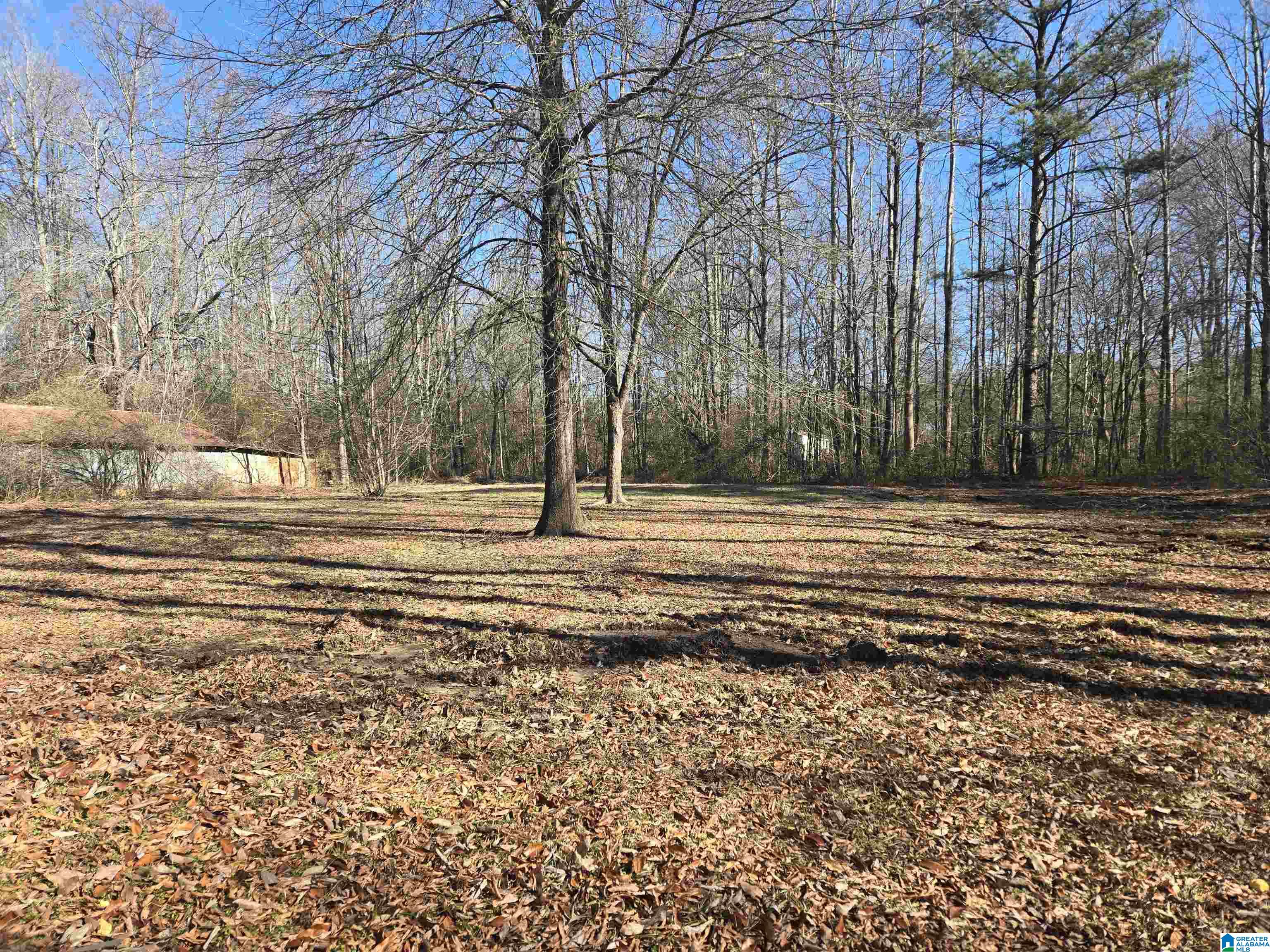 630 Rockledge Road Attalla, AL 35954 - Photo 30 of 37