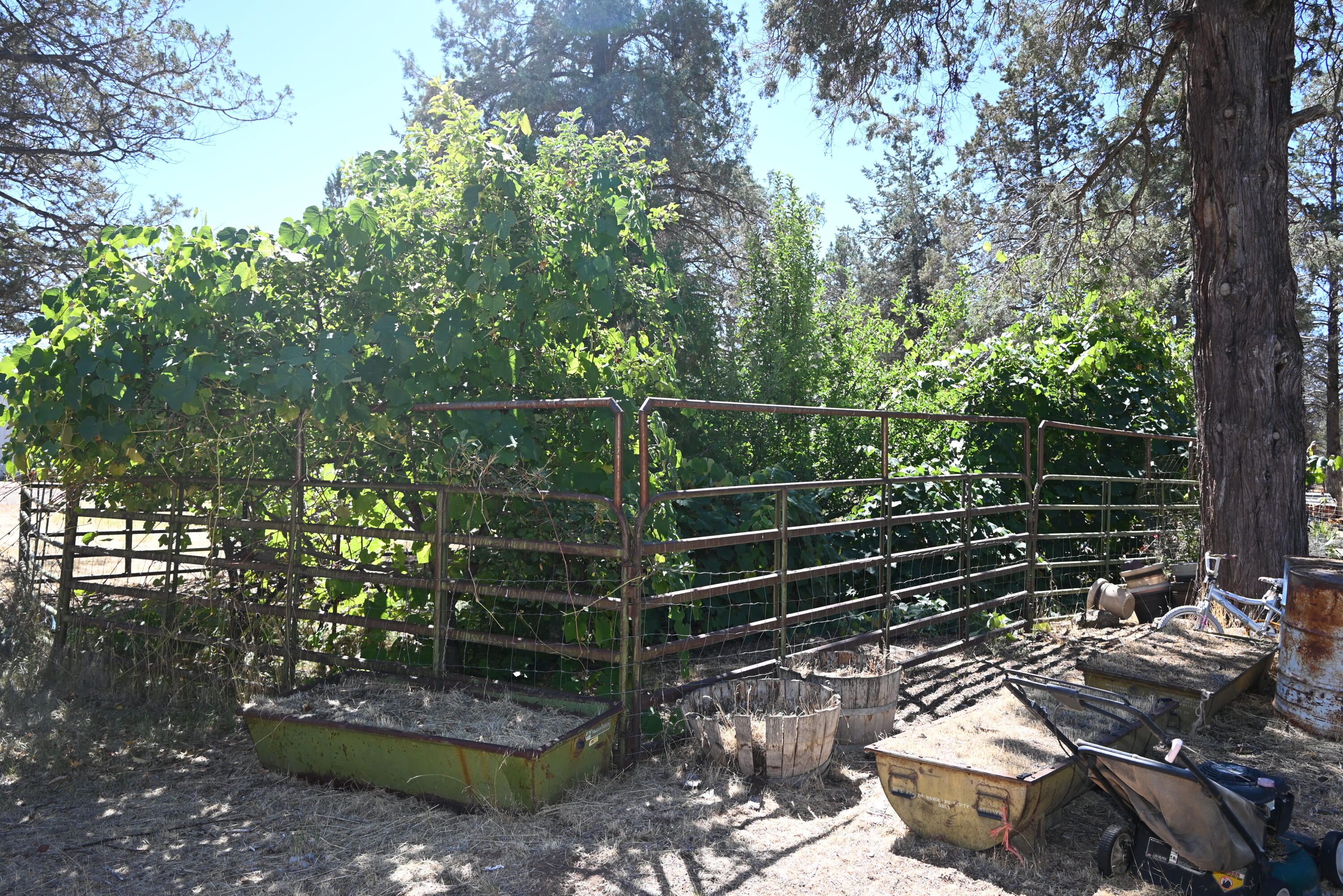4680 County Road 91 Lookout, CA 96054 - Photo 16 of 26 2026-09-06 17.33.32