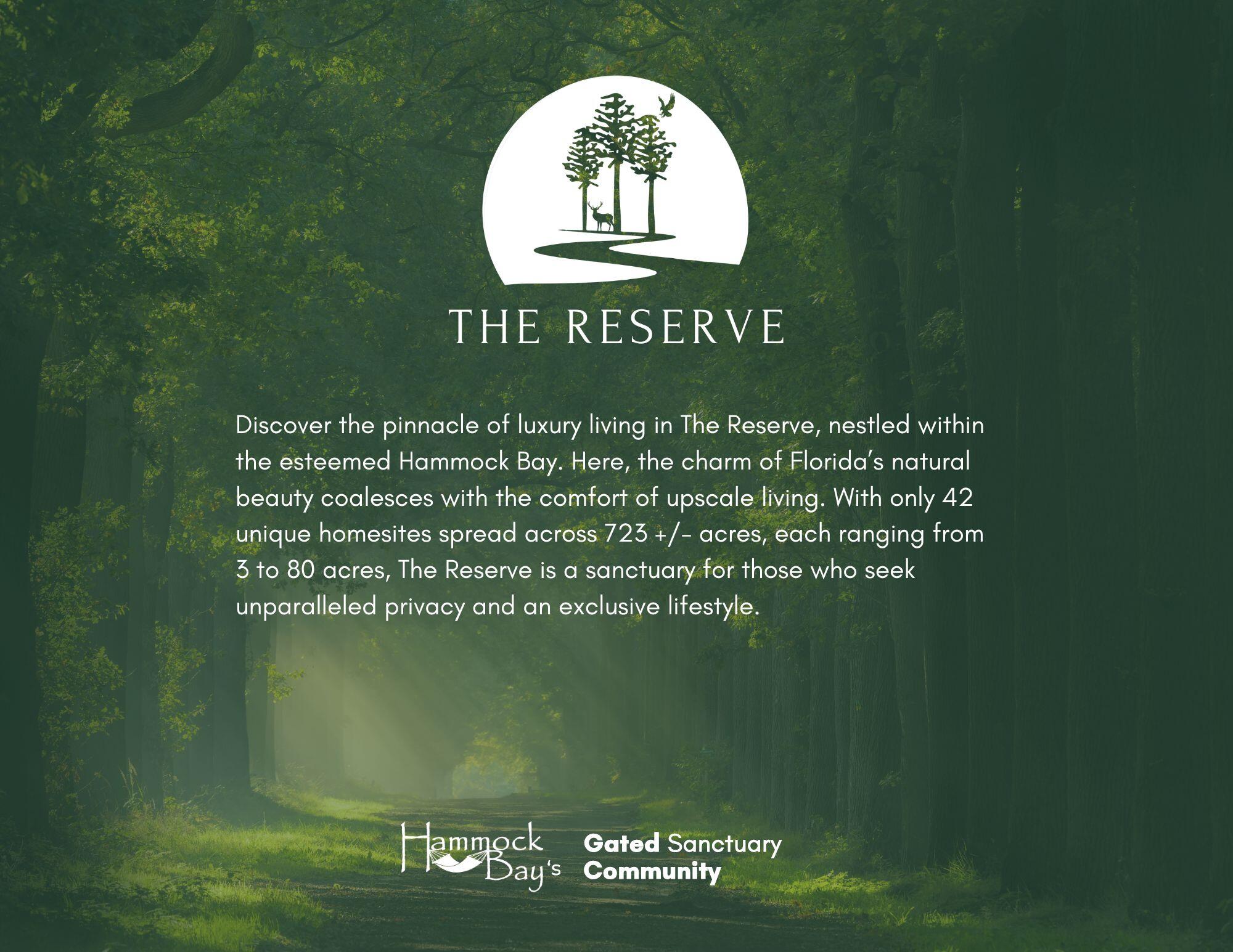 Lot 22 Reserve At Hammock Bay Freeport, FL 32439 - Photo 5 of 6