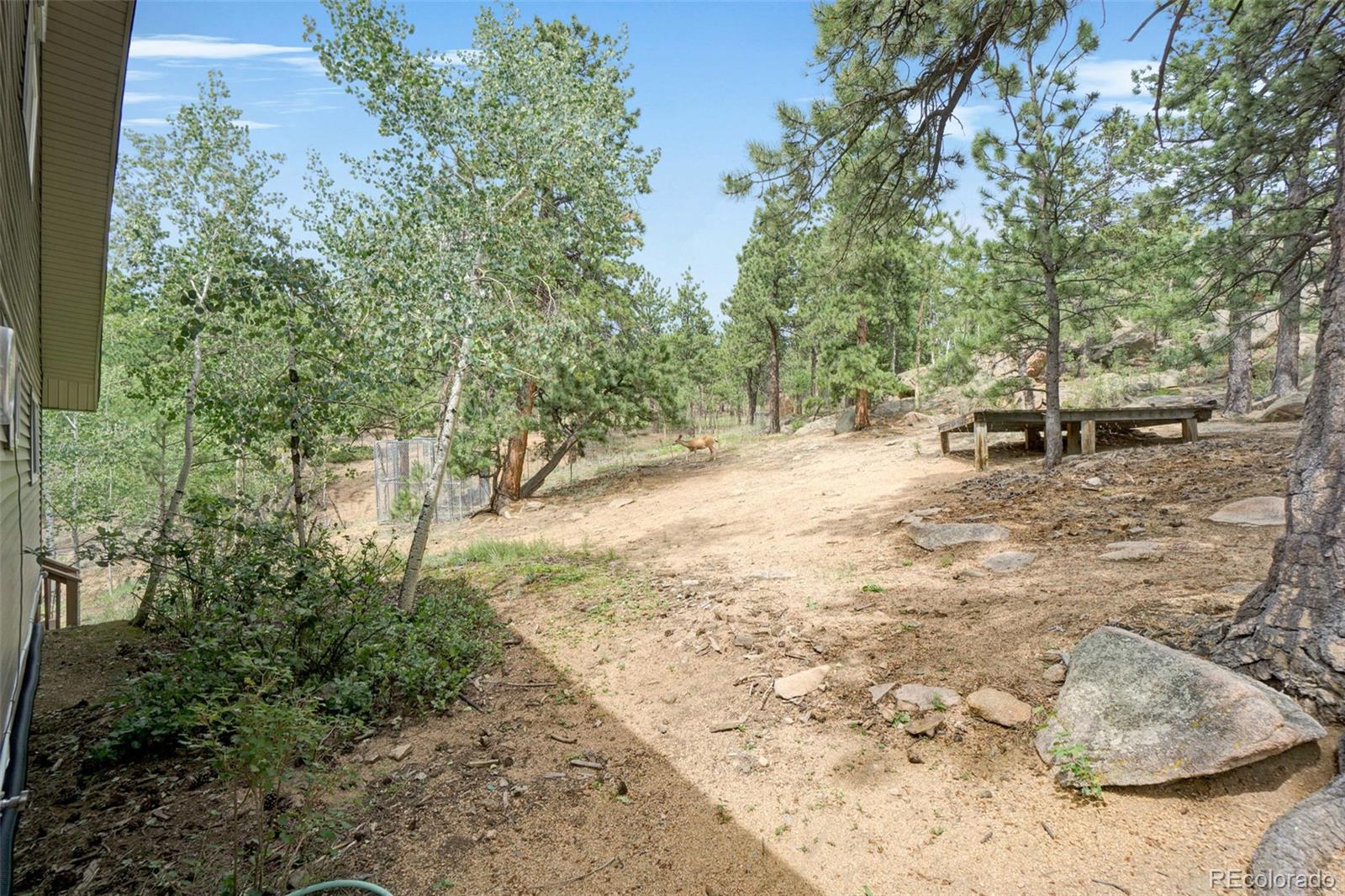 864 Rd P69 Bailey, CO 80421 - Photo 28 of 40