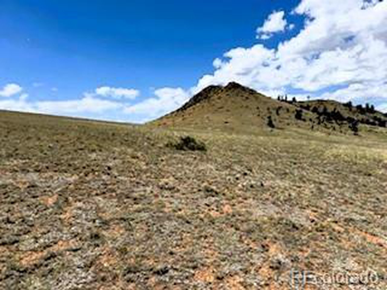 View WSW across the property
