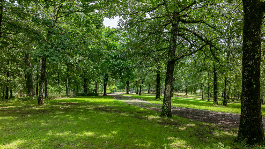 365 Calihan Road Booneville, AR 72927 - Photo 17 of 59 Gallery Image 17