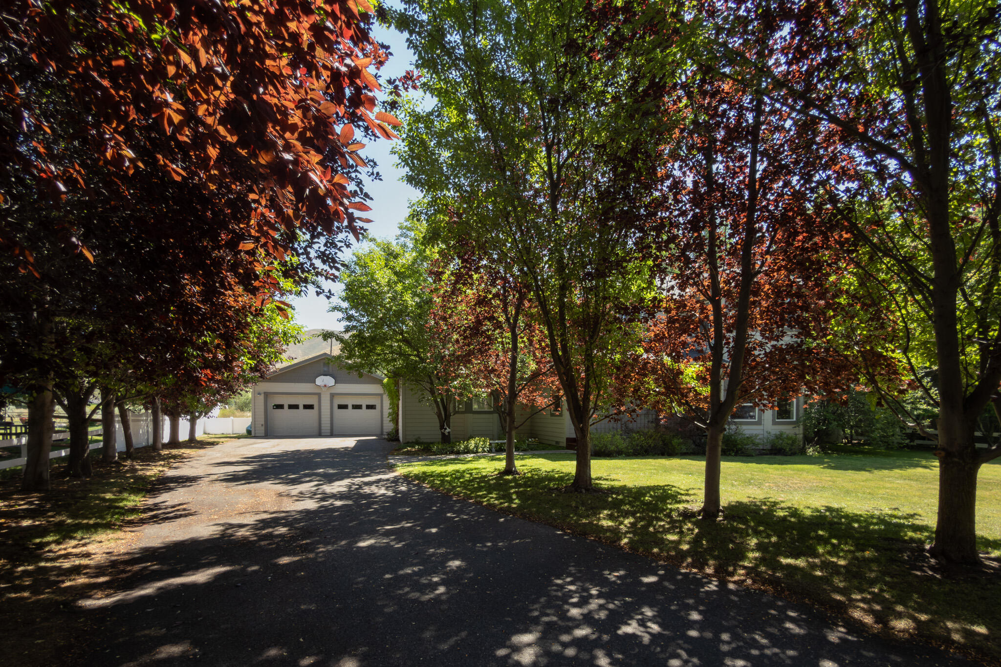1740 Heroic Road Hailey, ID 83333 - Photo 22 of 23 Tree Lined Driveway