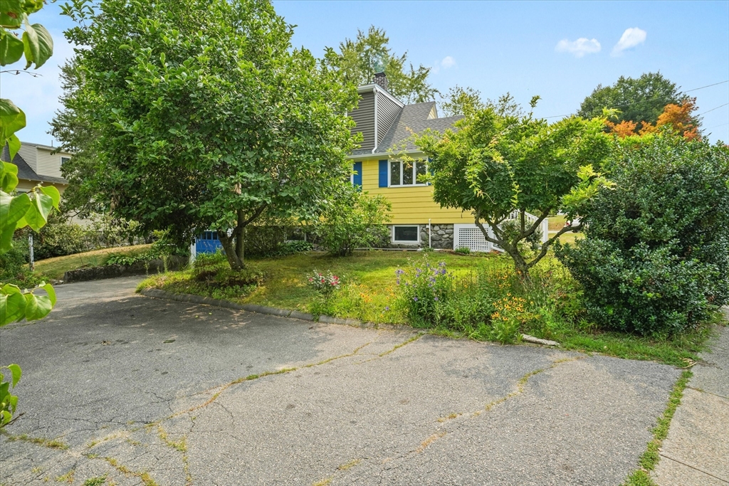 57 Olive Street Methuen, MA 01844 - Photo 29 of 38 a view of a house with a yard and large trees
