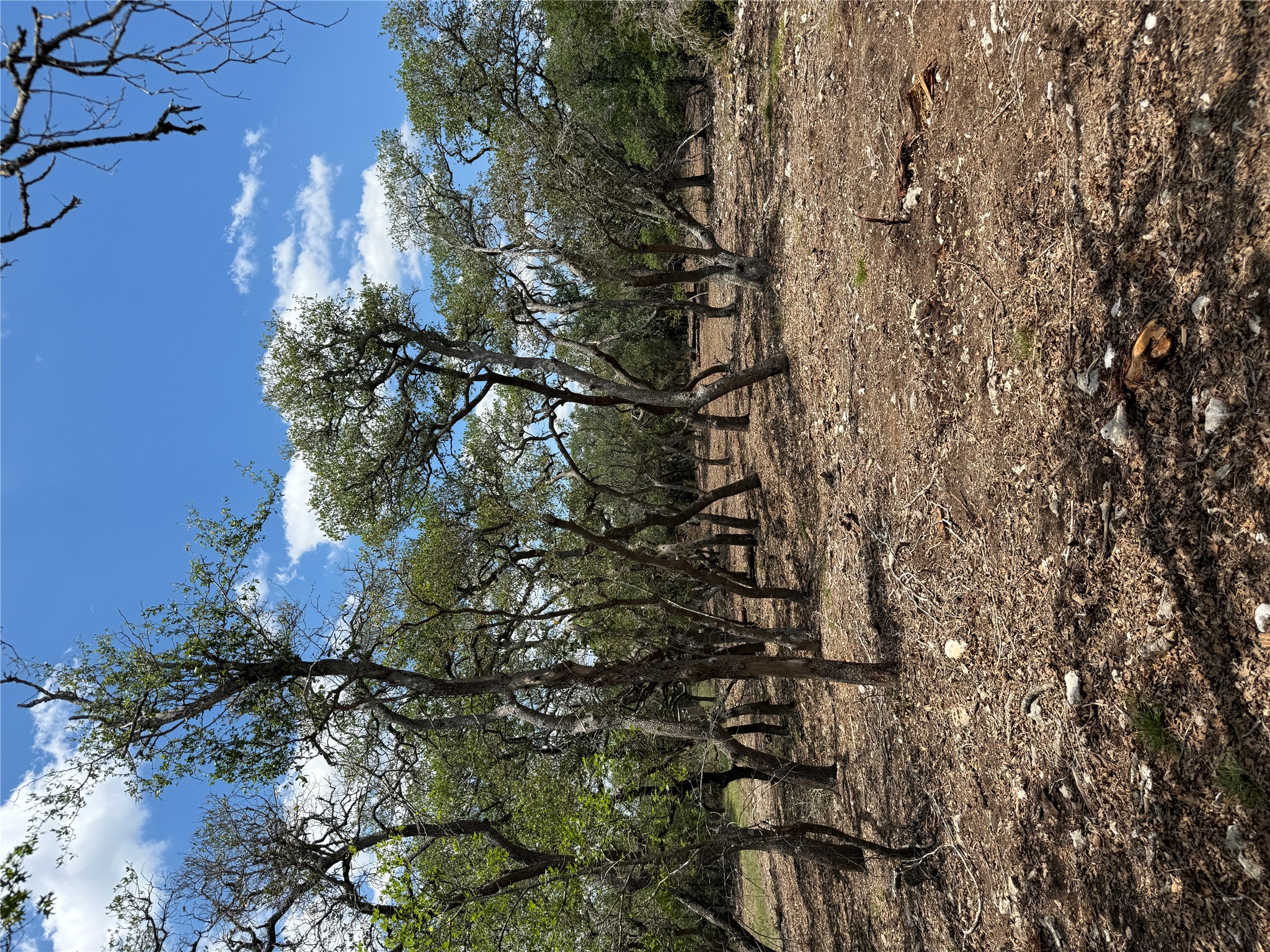 -altwein Rd 17.91 Acres Altwein Road Blanco, TX 78606 - Photo 30 of 33 a view of outdoor space with trees