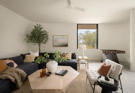 a living room with furniture and a potted plant