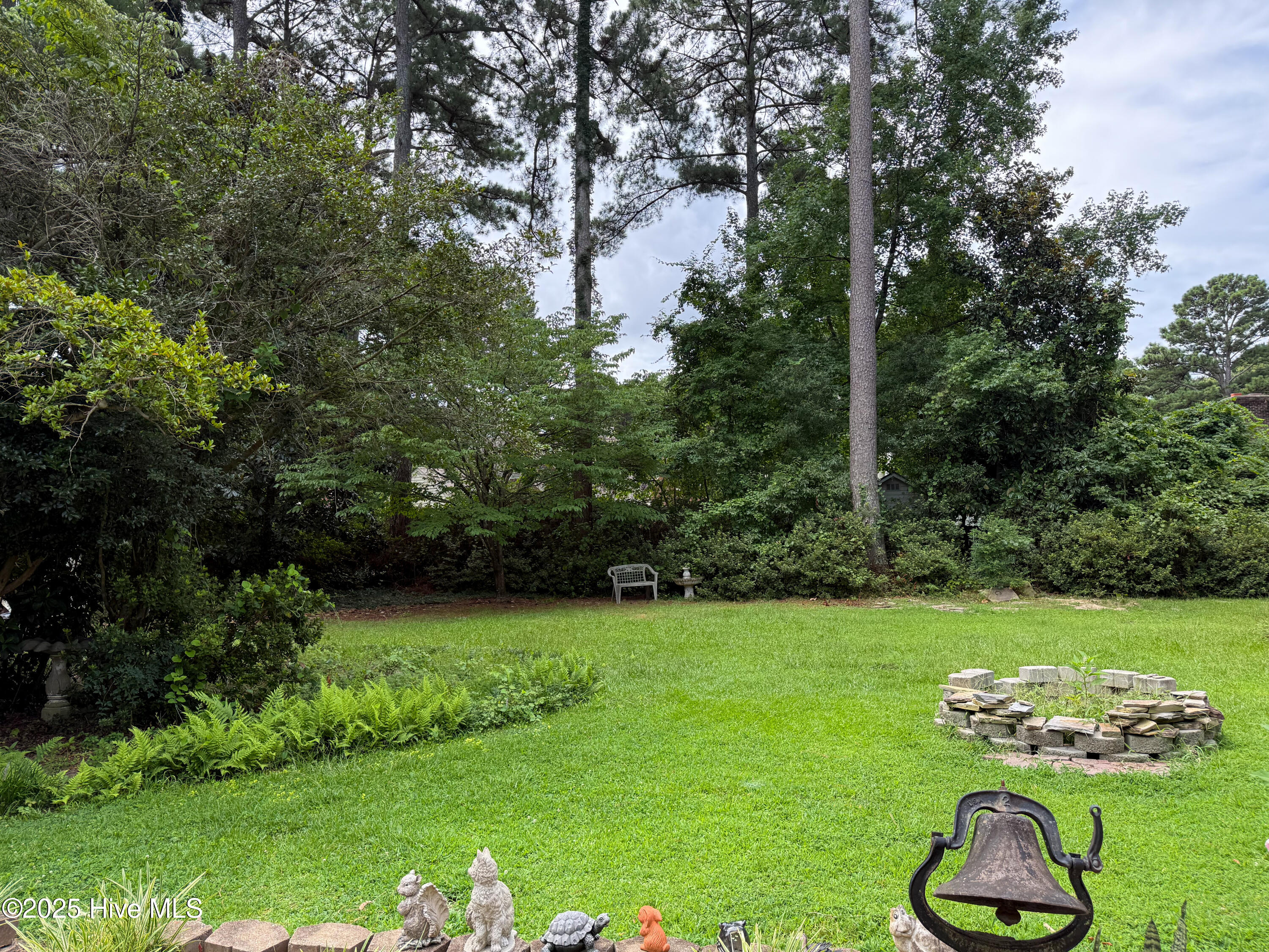 1103 Peachtree Road Northwest Wilson, NC 27896 - Photo 18 of 22 Backyard