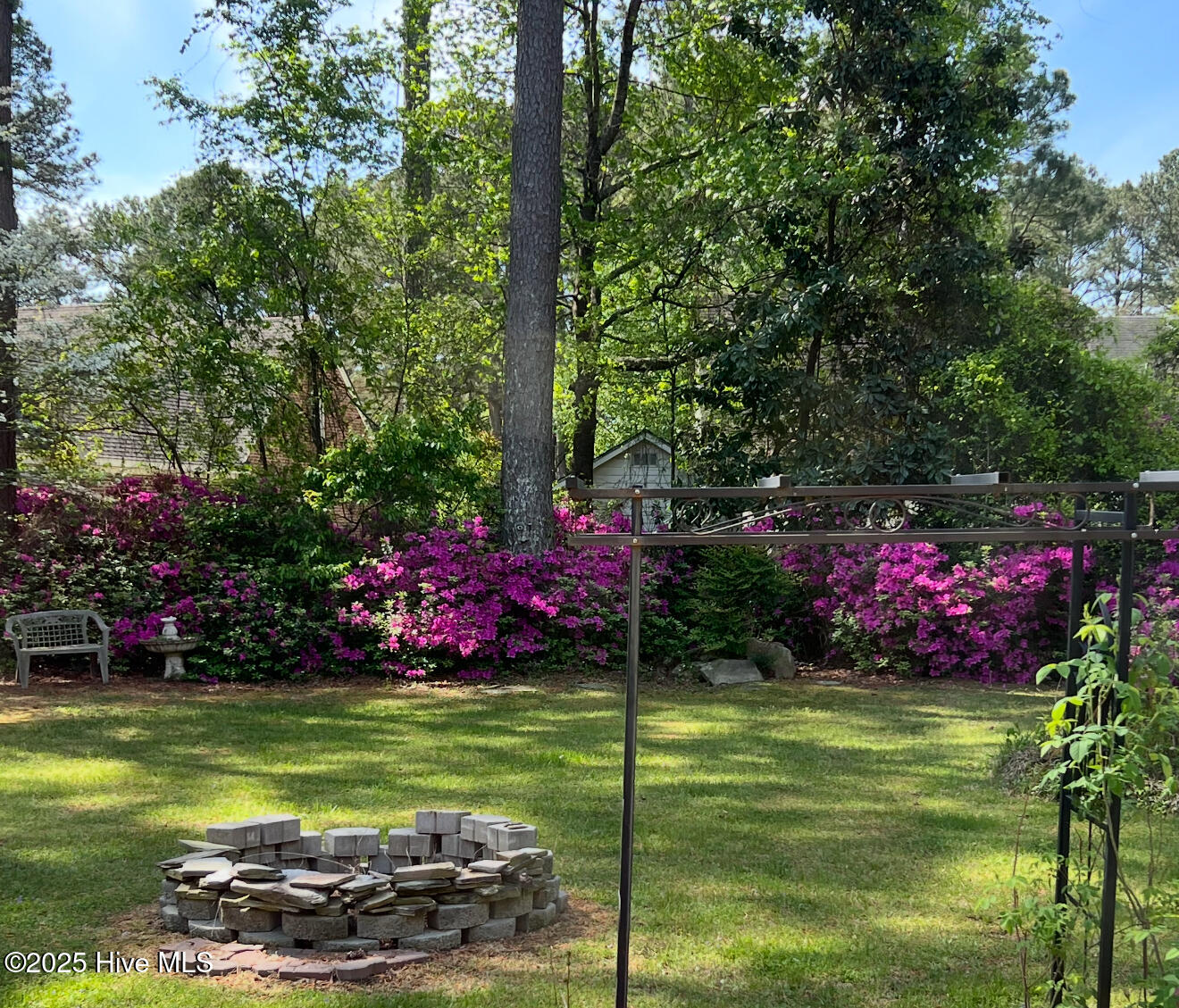 1103 Peachtree Road Northwest Wilson, NC 27896 - Photo 22 of 22 Azaleas in spring