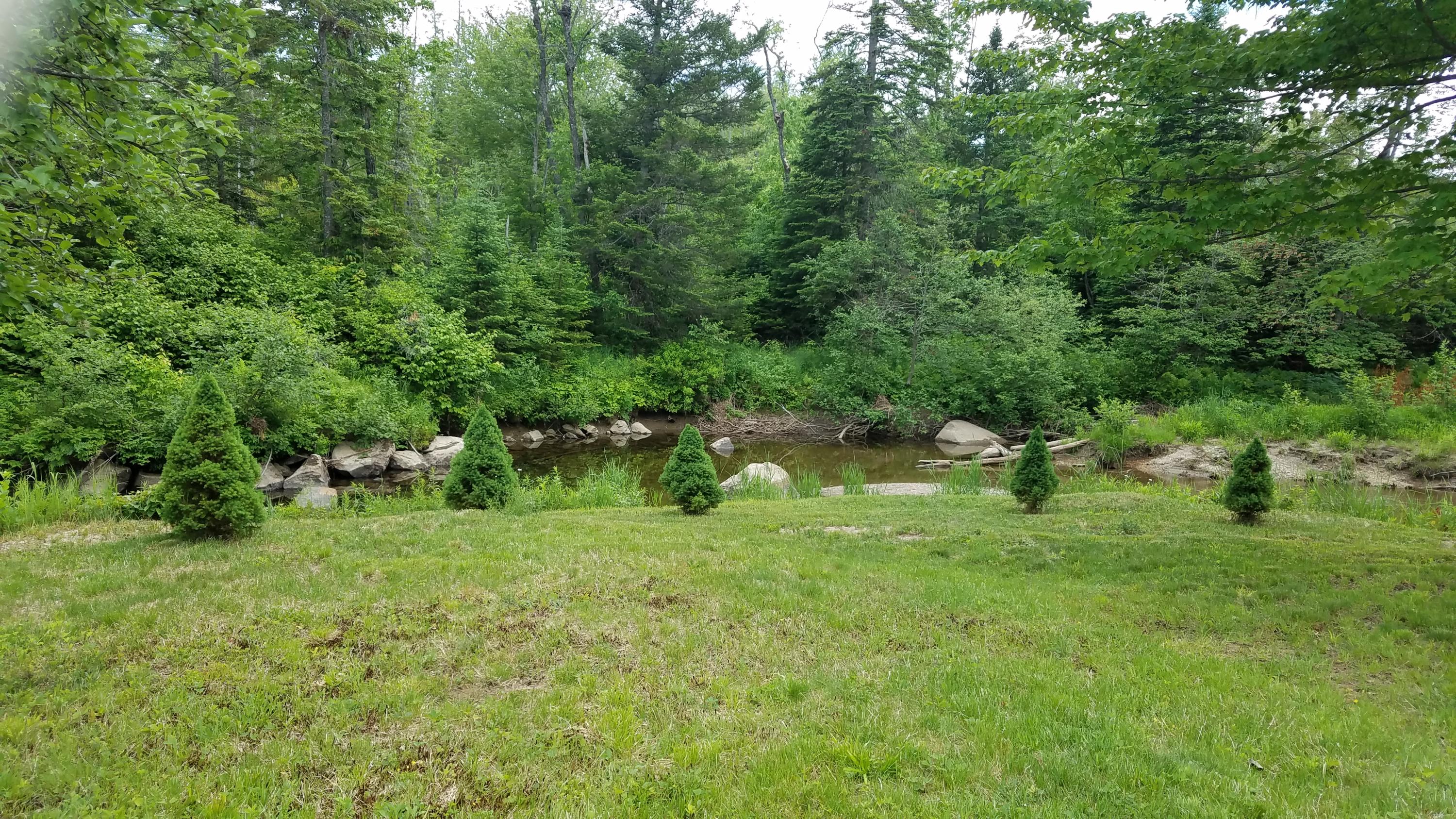 230 Avon Valley Road Avon, ME 04966 - Photo 37 of 56 20200615_153858