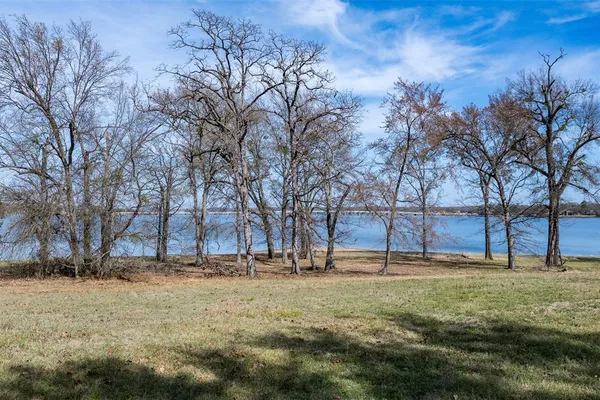 a view of yard with trees