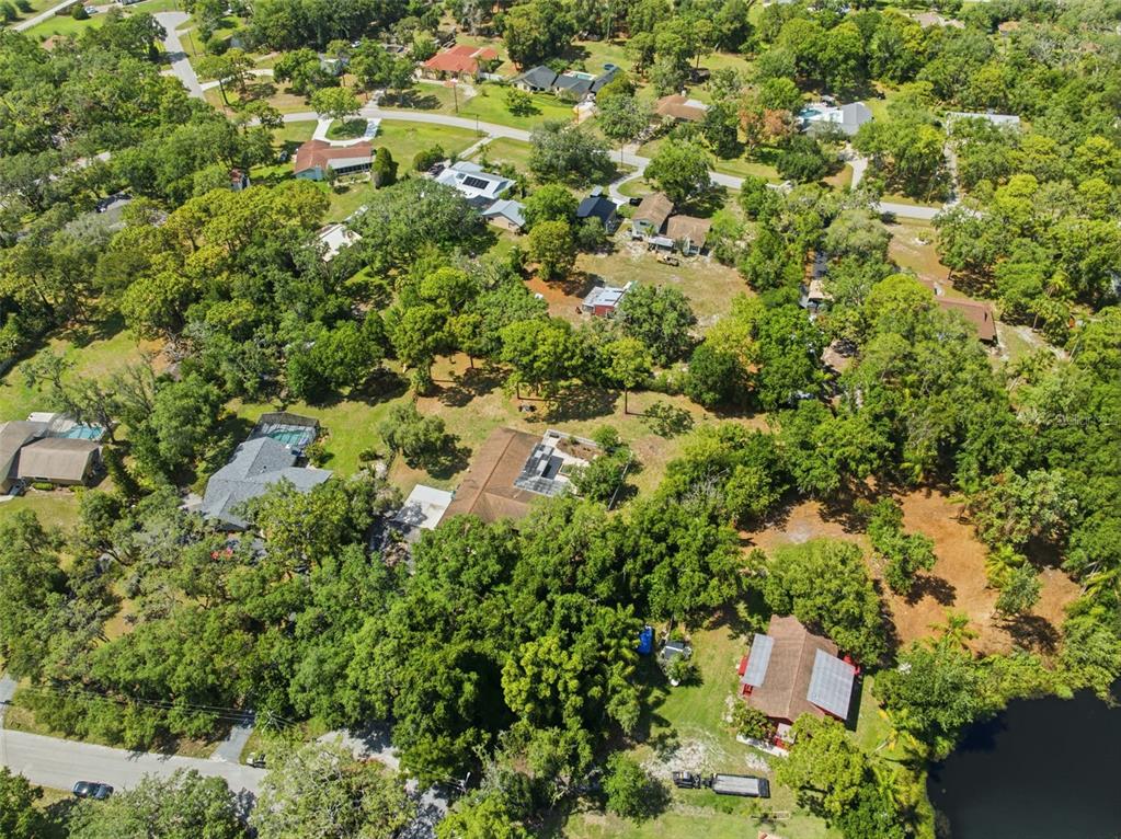 6403 Chiswick Court New Port Richey, FL 34655 - Photo 77 of 86