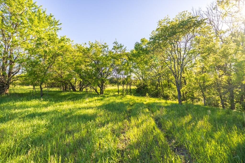 775 North N Road Lawrence, KS 66047 - Photo 6 of 56