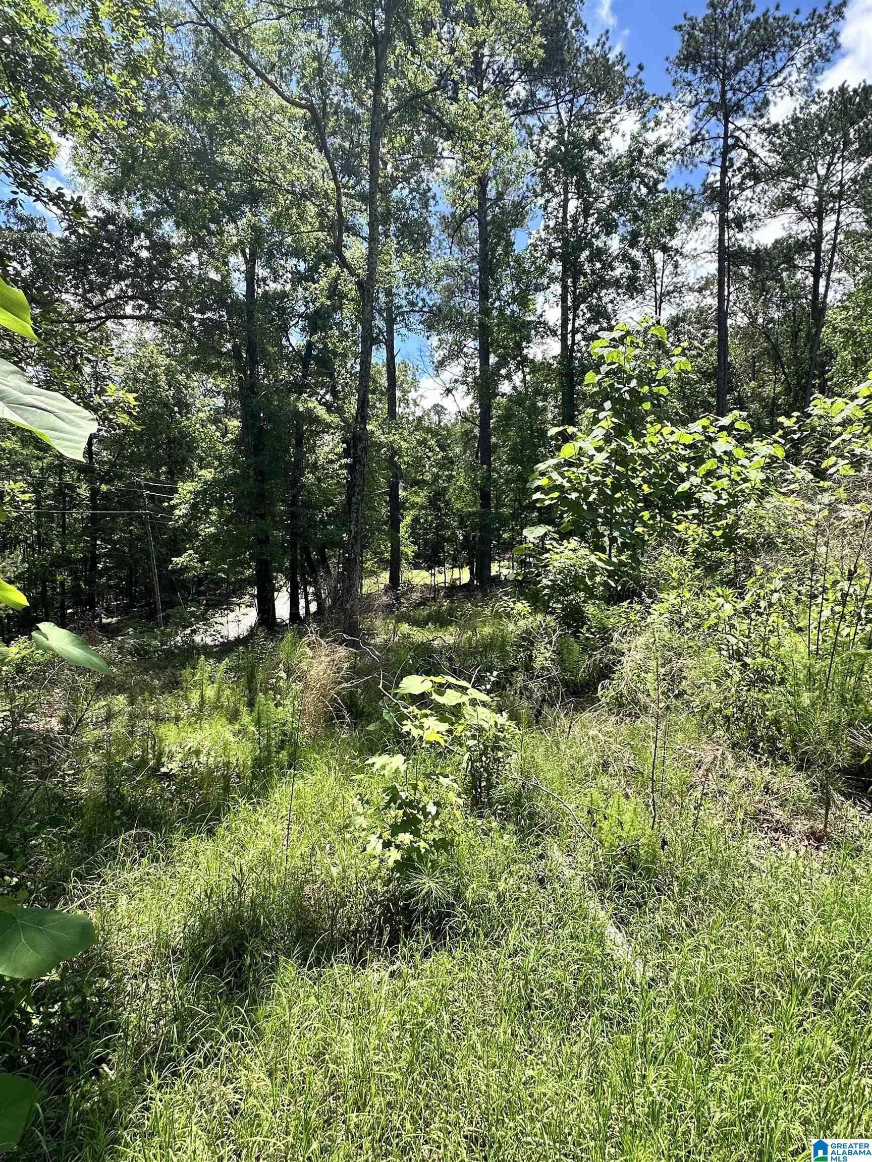 350 Black Acres Road, Unit 11 Cropwell, AL 35054 - Photo 11 of 16