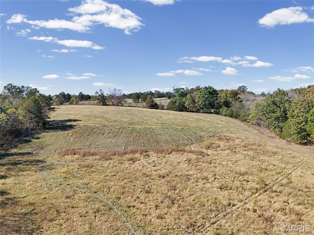 6933 Russell Road Hillsboro, MO 63050 - Photo 24 of 41