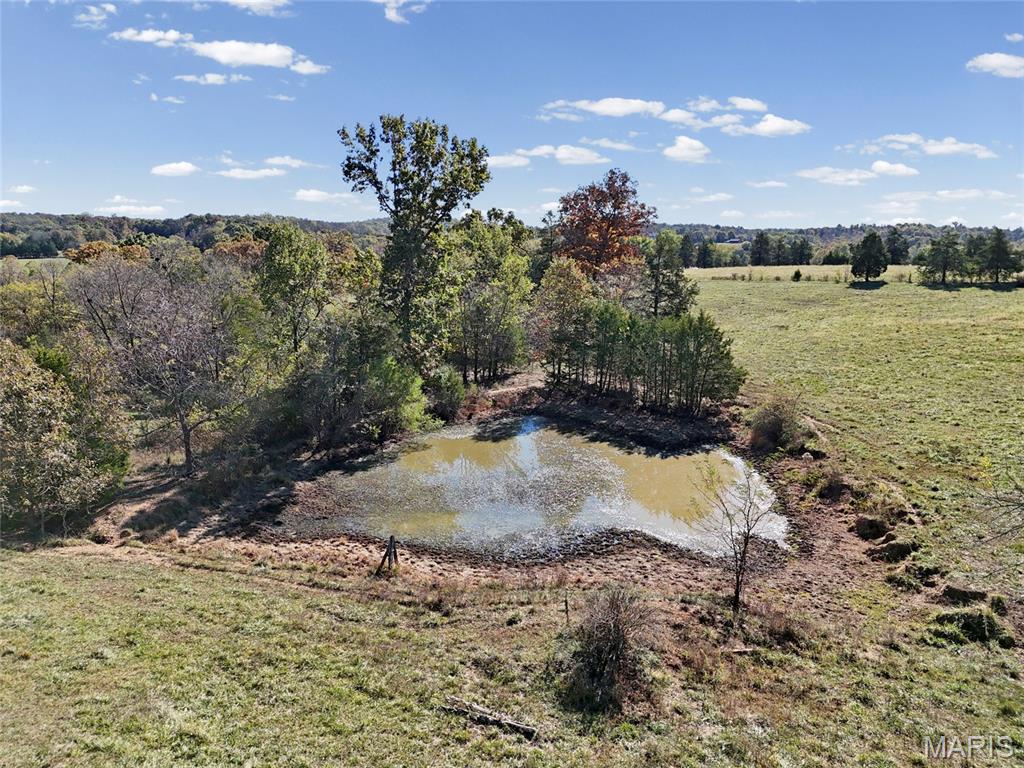 6933 Russell Road Hillsboro, MO 63050 - Photo 25 of 41