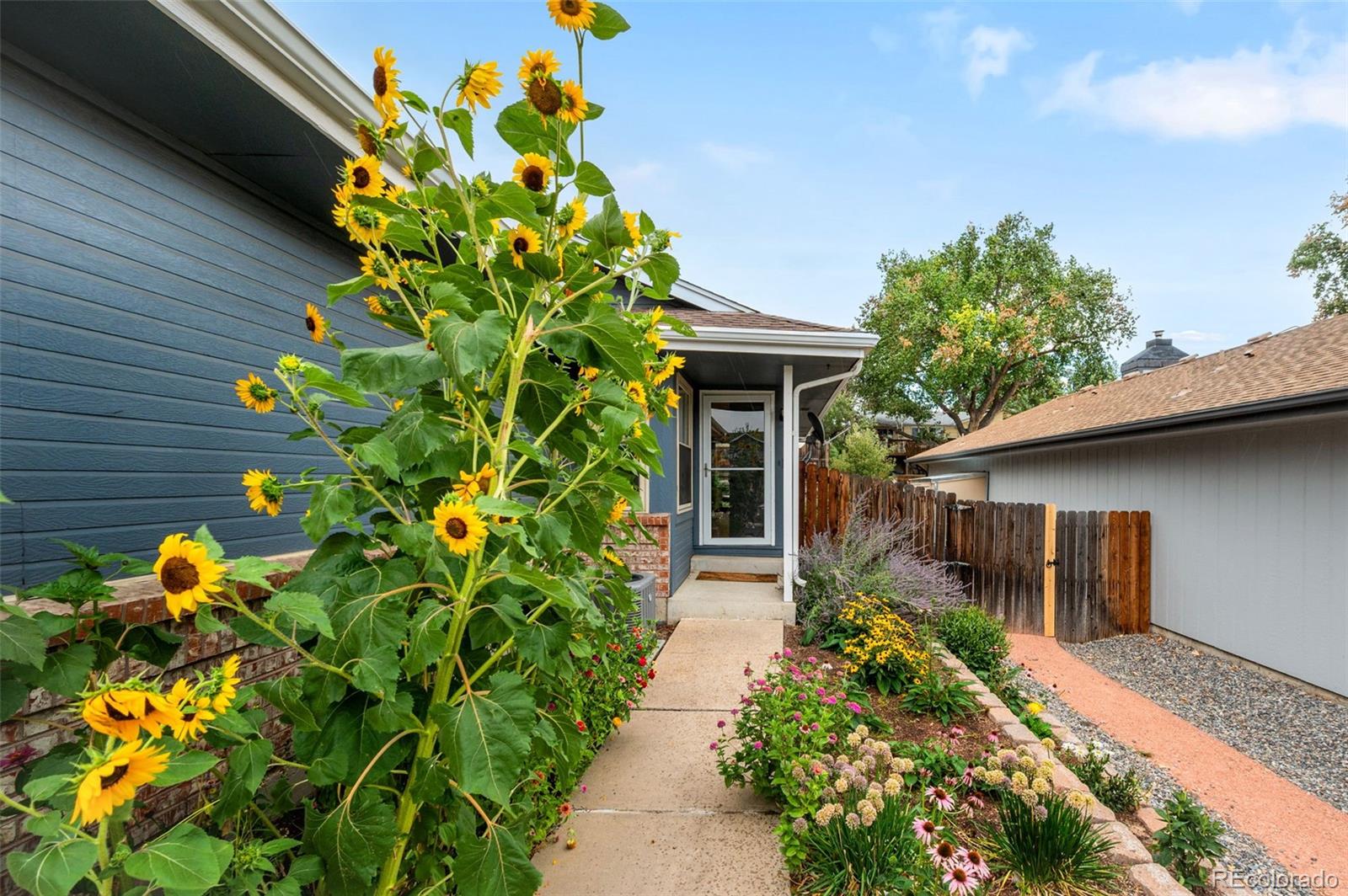 7150 Routt Street Arvada, CO 80004 - Photo 4 of 34 Gallery Image 4