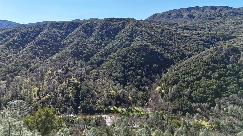 76450 Deer Pass Road Bradley, CA 93426 - Photo 45 of 50