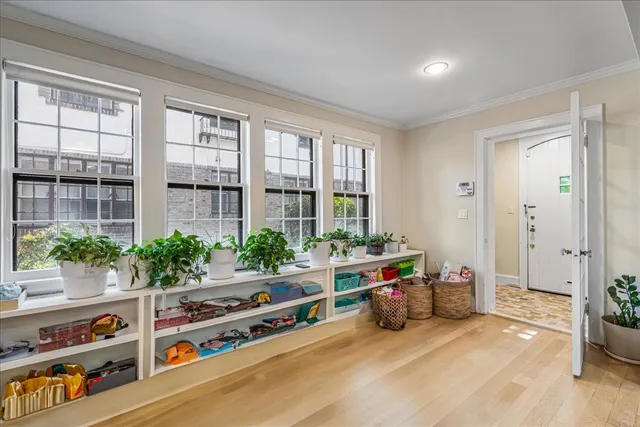 a room with furniture and a potted plant