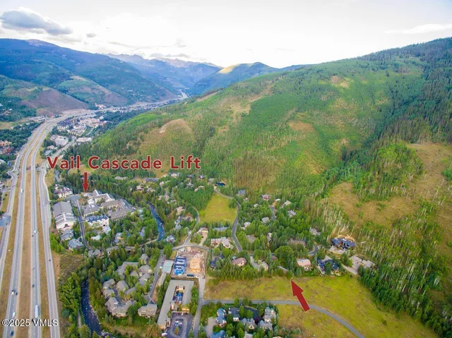 a view of a bunch of flowers