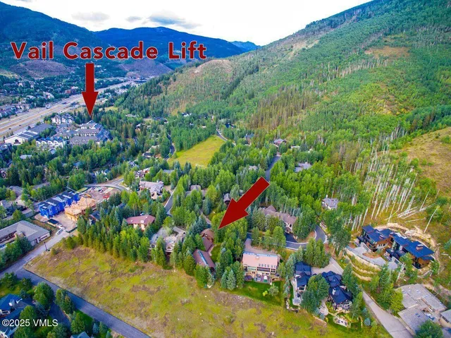 a view of a flower in a field