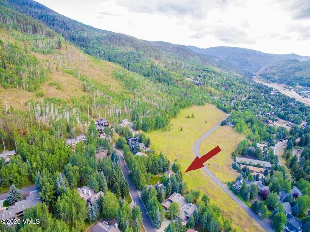 a view of a flower in a garden