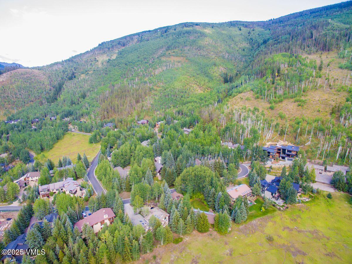 1461 Greenhill Court, Unit A AND B Vail, CO 81657 - Photo 40 of 44 a view of a flower in a field