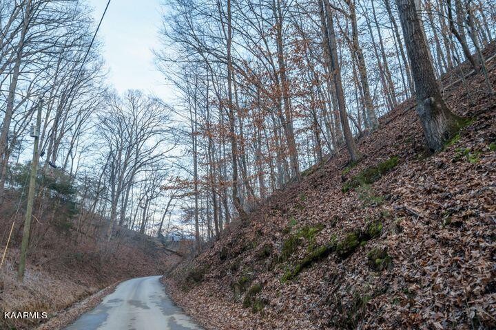 0 Dunn Hollow Road Sevierville, TN 37862 - Photo 2 of 8
