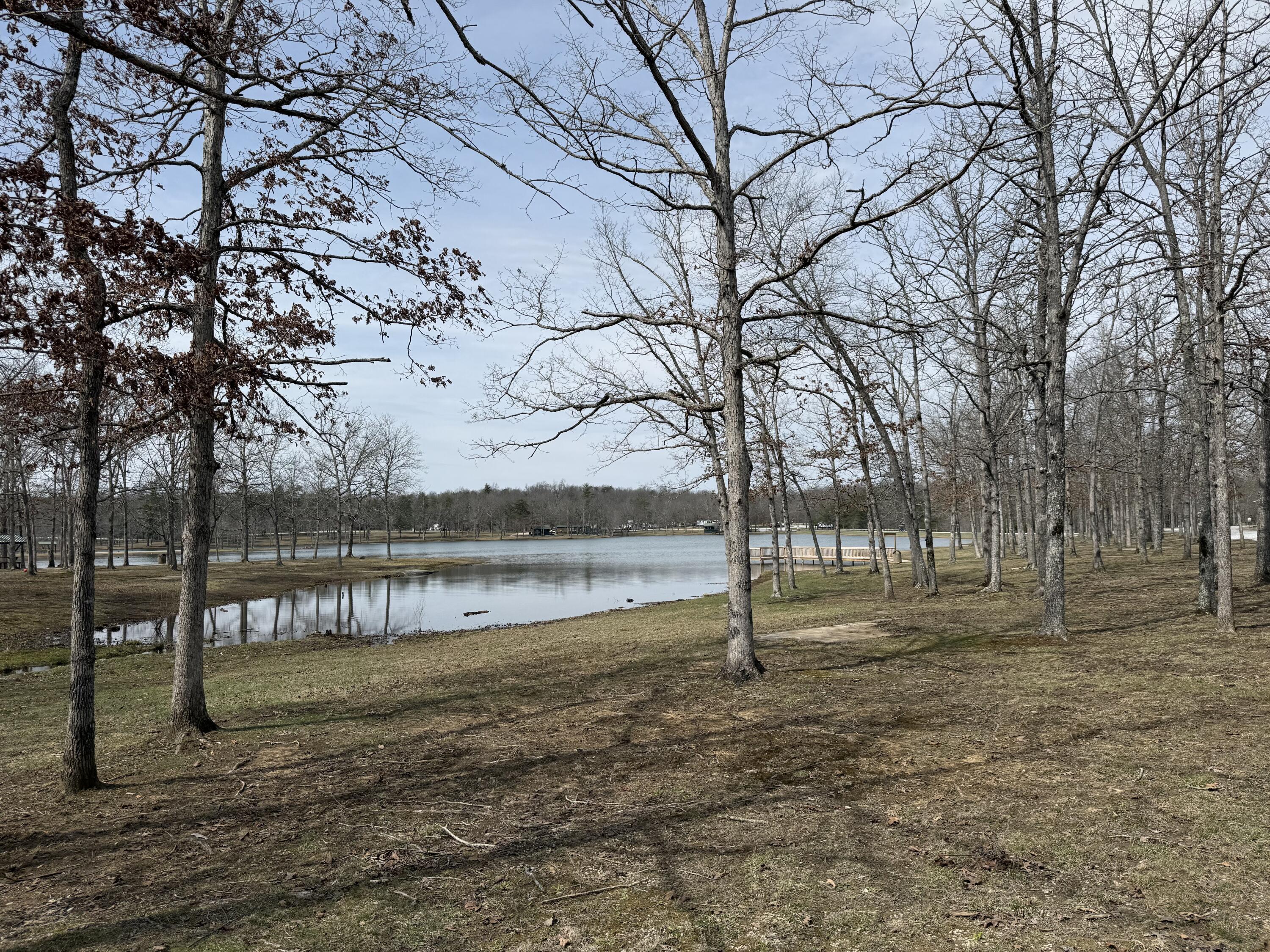 53 Sassasfras Road Crossville, TN 38571 - Photo 16 of 20 IMG_1684