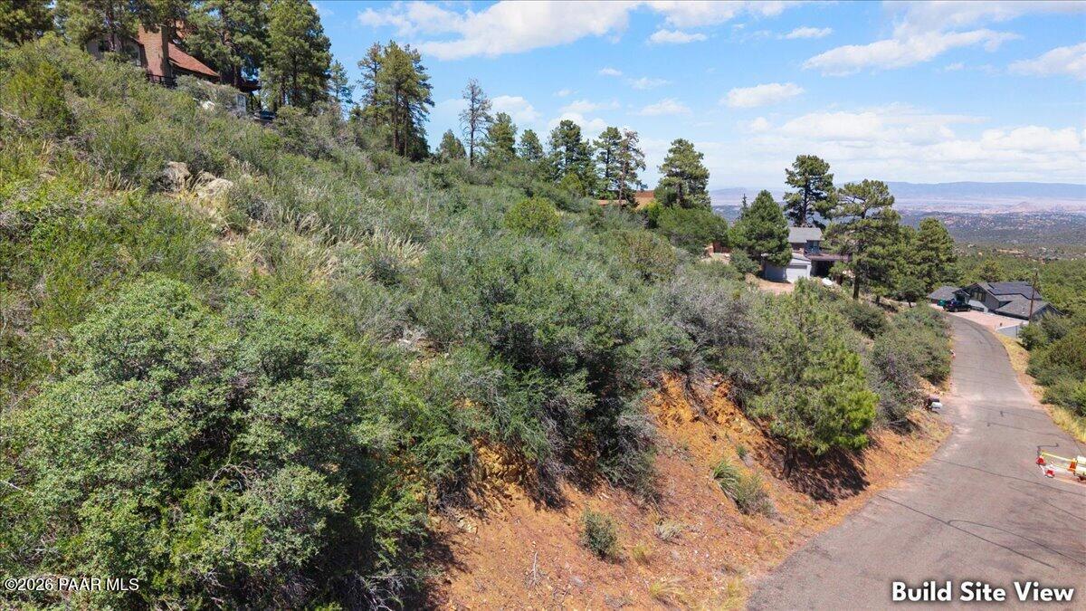 900 North Turkey Run Road Prescott, AZ 86305 - Photo 6 of 17 a view of a covered with trees in front of it