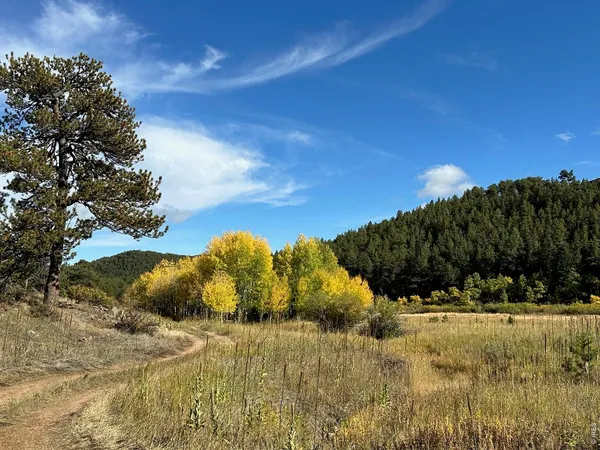 $595,000 | 17667 Highway 7, Lyons, CO 80540