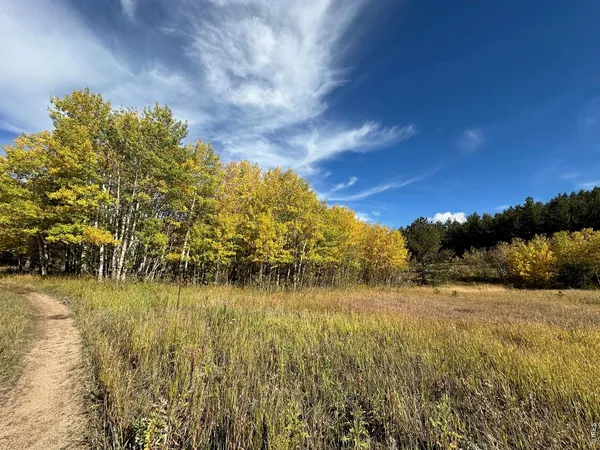 $595,000 | 17667 Highway 7, Lyons, CO 80540