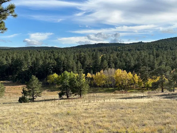 $595,000 | 17667 Highway 7, Lyons, CO 80540