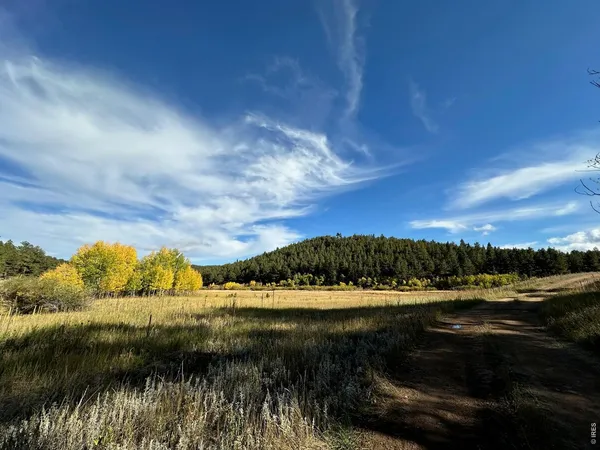 $595,000 | 17667 Highway 7, Lyons, CO 80540