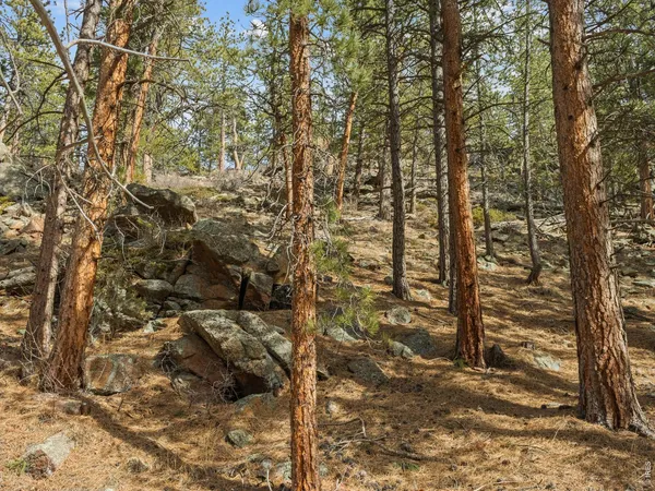 $595,000 | 17667 Highway 7, Lyons, CO 80540