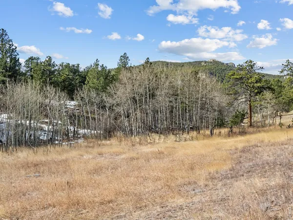 $595,000 | 17667 Highway 7, Lyons, CO 80540