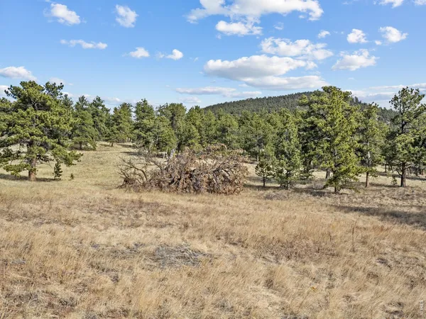 $595,000 | 17667 Highway 7, Lyons, CO 80540