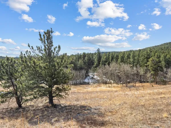 $595,000 | 17667 Highway 7, Lyons, CO 80540
