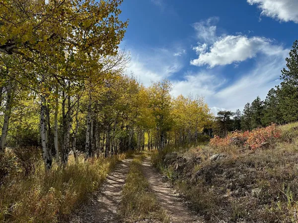 $595,000 | 17667 Highway 7, Lyons, CO 80540