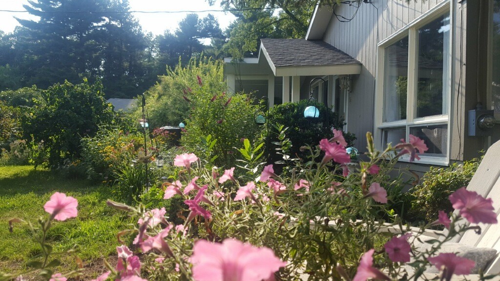 74 Ellendale Circle Springfield, MA 01128 - Photo 18 of 24 a flower plants in front of a house